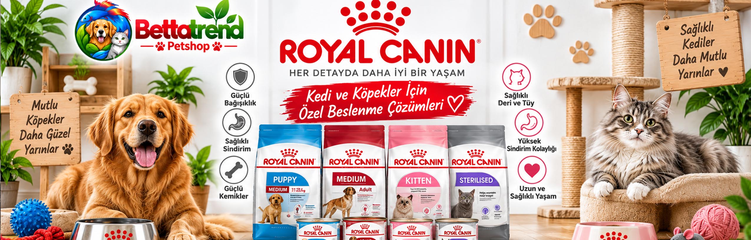 kopek