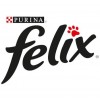 Felix