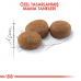 Royal Canin Sterilised 37 Kısırlaştırılmış Kedi Maması 4kg Royal Canin Sterilised 37 Kısırlaştırılmış Kedi Maması 4kg