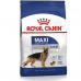Royal Canin Maxi Adult Büyük Irk Yetişkin Köpek Maması 15 kg