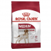 Royal Canin Medium Adult Orta Irk Yetişkin Köpek Maması 15 kg