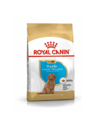 Royal Canin Poodle Yavru Köpek Maması 3 kg… Royal Canin Poodle Yavru Köpek Maması 3 kg…