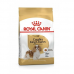 Royal Canin Cavalier King Charles Yetişkin Köpek Maması 1,5 kg Royal Canin Cavalier King Charles Yetişkin Köpek Maması 1,5 kg