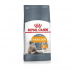 Royal Canin Hair & Skin Hassas Tüylü Kediler İçin Mama 4 kg