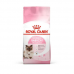 Royal Canin Mother & Baby Cat 34 Anne ve Yavru Kedi Maması 4 kg Royal Canin Mother & Baby Cat 34 Anne ve Yavru Kedi Maması 4 kg