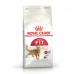 Royal Canin Fit 32 Yetişkin Kedi Maması 15 kg Royal Canin Fit 32 Yetişkin Kedi Maması 15 kg