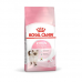 Royal Canin Kitten Yavru Kedi Maması 4 kg Royal Canin Kitten Yavru Kedi Maması 4 kg
