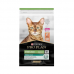 Pro Plan Sterilised Kısırlaştırılmış Kediler İçin Somonlu Kedi Maması 1,5 kg Pro Plan Sterilised Kısırlaştırılmış Kediler İçin Somonlu Kedi Maması 1,5 kg