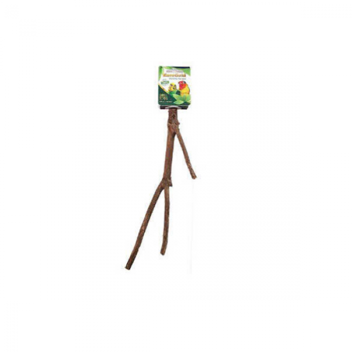 EuroGold Muhabbet ve Paraket Kuşları için Doğal Ahşap Tünek 25 Cm