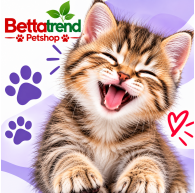 KEDİ