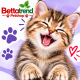 KEDİ